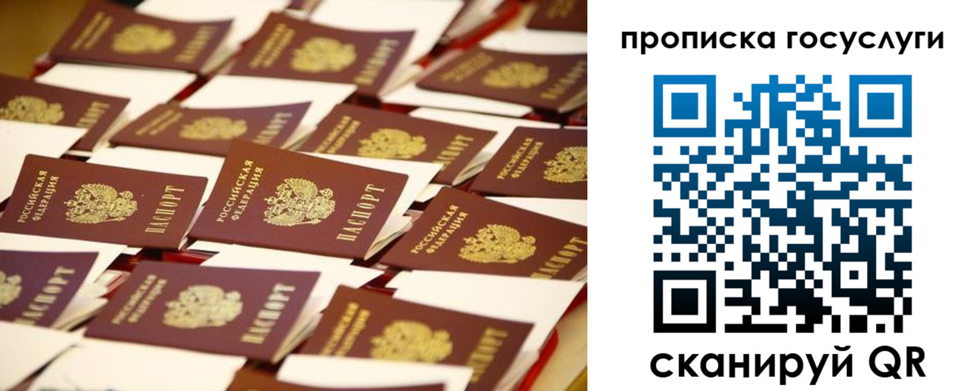 прописка гарантия в Октябрьском